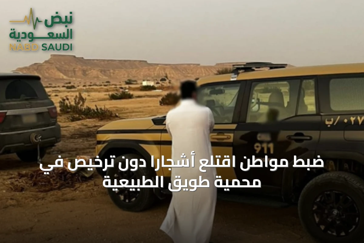 ضبط مواطن اقتلع أشجارًا دون ترخيص في محمية طويق الطبيعية