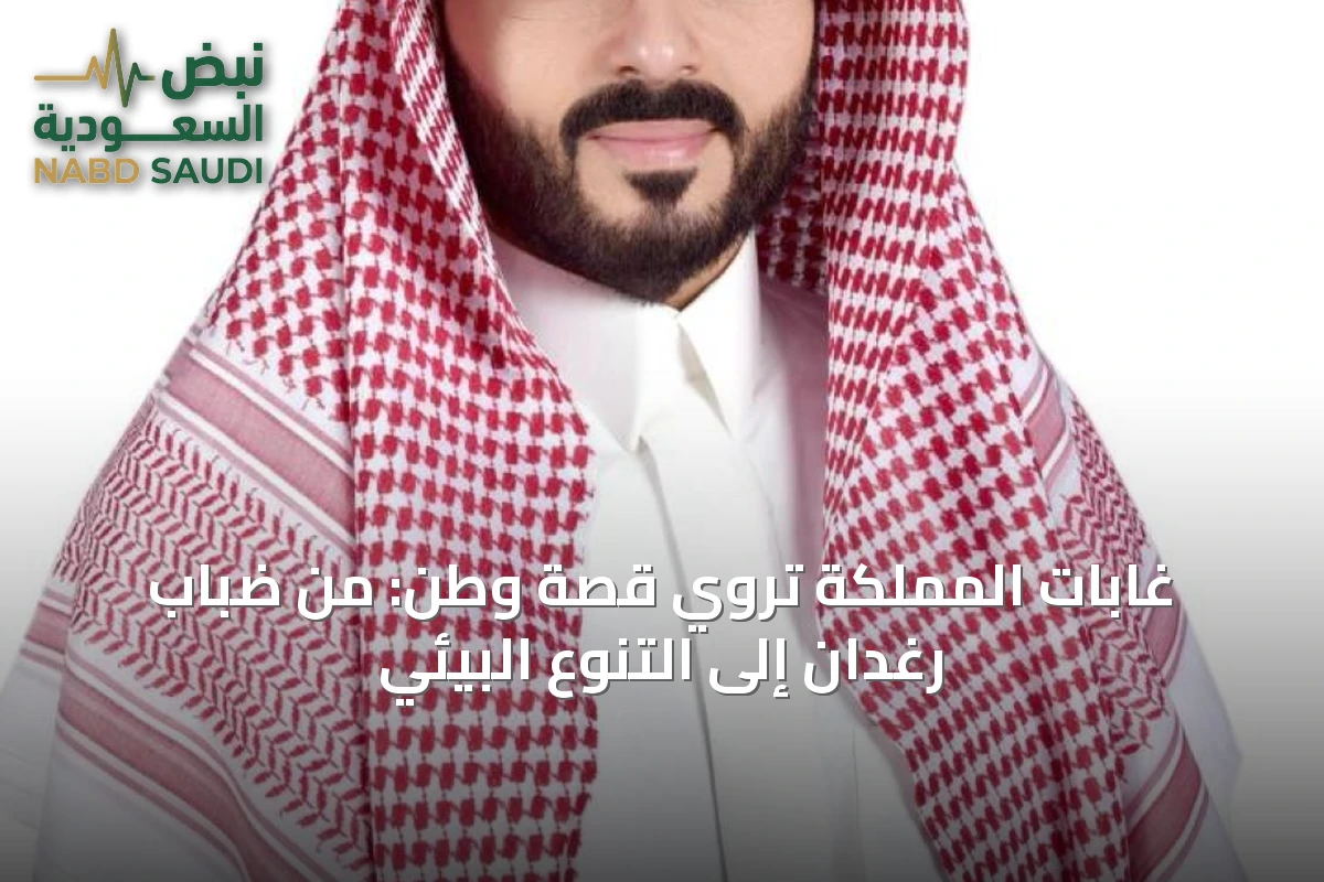 غابات المملكة تروي قصة وطن: من ضباب رغدان إلى التنوع البيئي
