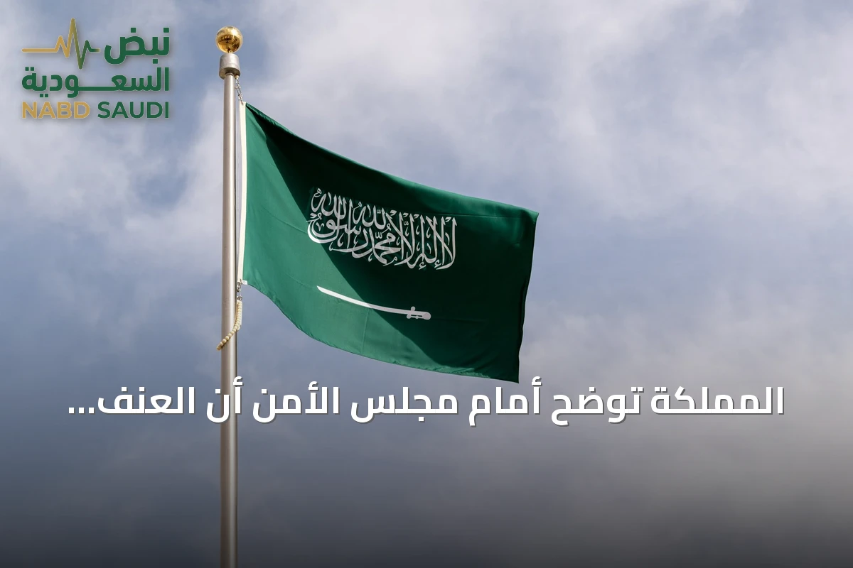 المملكة توضح أمام مجلس الأمن أن العنف الجنسي في النزاعات يهدد السلم العالمي