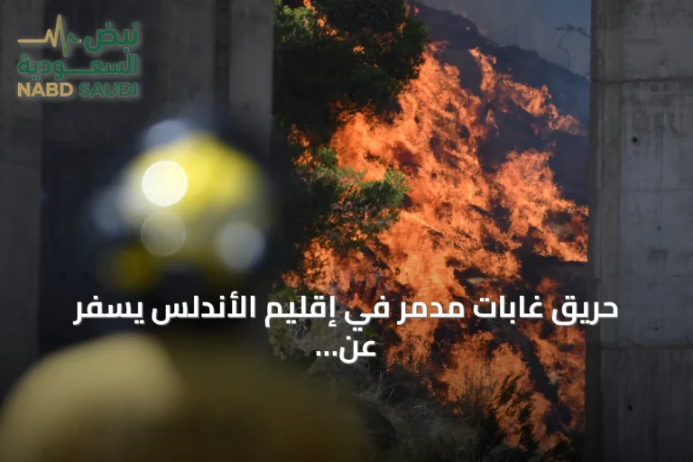 حريق غابات مدمر في إقليم الأندلس يسفر عن وفاة 12 شخصاً وفقدان 23 آخرين