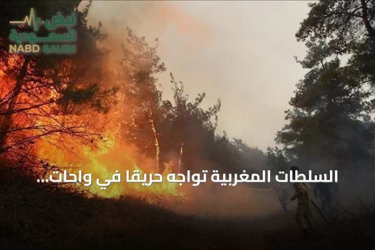 السلطات المغربية تواجه حريقًا في واحات الراشيدية