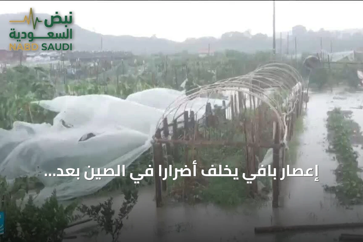 إعصار بافي يخلف أضرارًا في الصين بعد مروره باليابان وتايوان