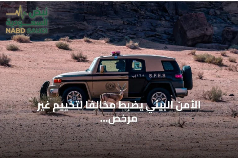 الأمن البيئي يضبط مخالفًا لتخييم غير مرخص في منطقة عسير