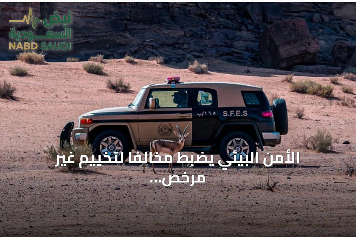 الأمن البيئي يضبط مخالفًا لتخييم غير مرخص في منطقة عسير