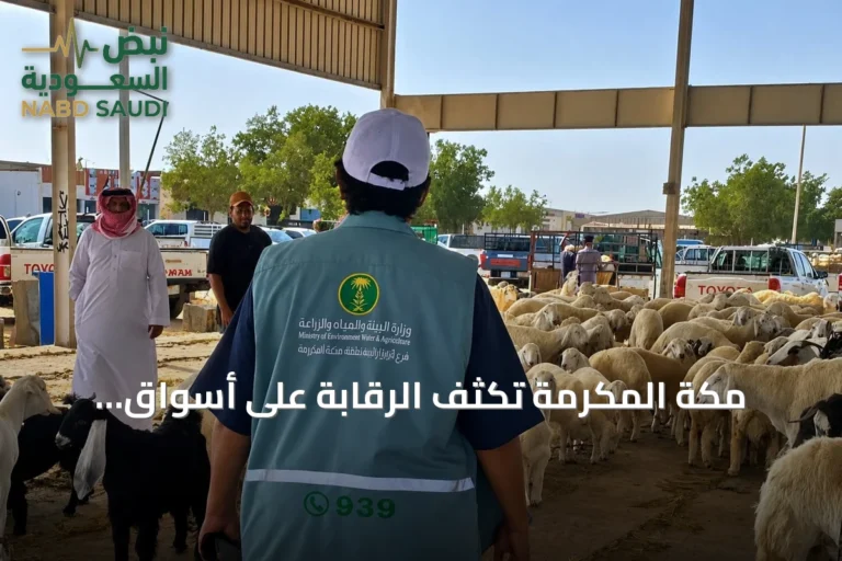 مكة المكرمة تُكثف الرقابة على أسواق الماشية لضمان سلامة المستهلك ودعم الأمن الغذائي