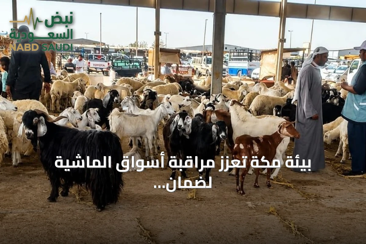 بيئة مكة تُعزز مراقبة أسواق الماشية لضمان الأمن الغذائي