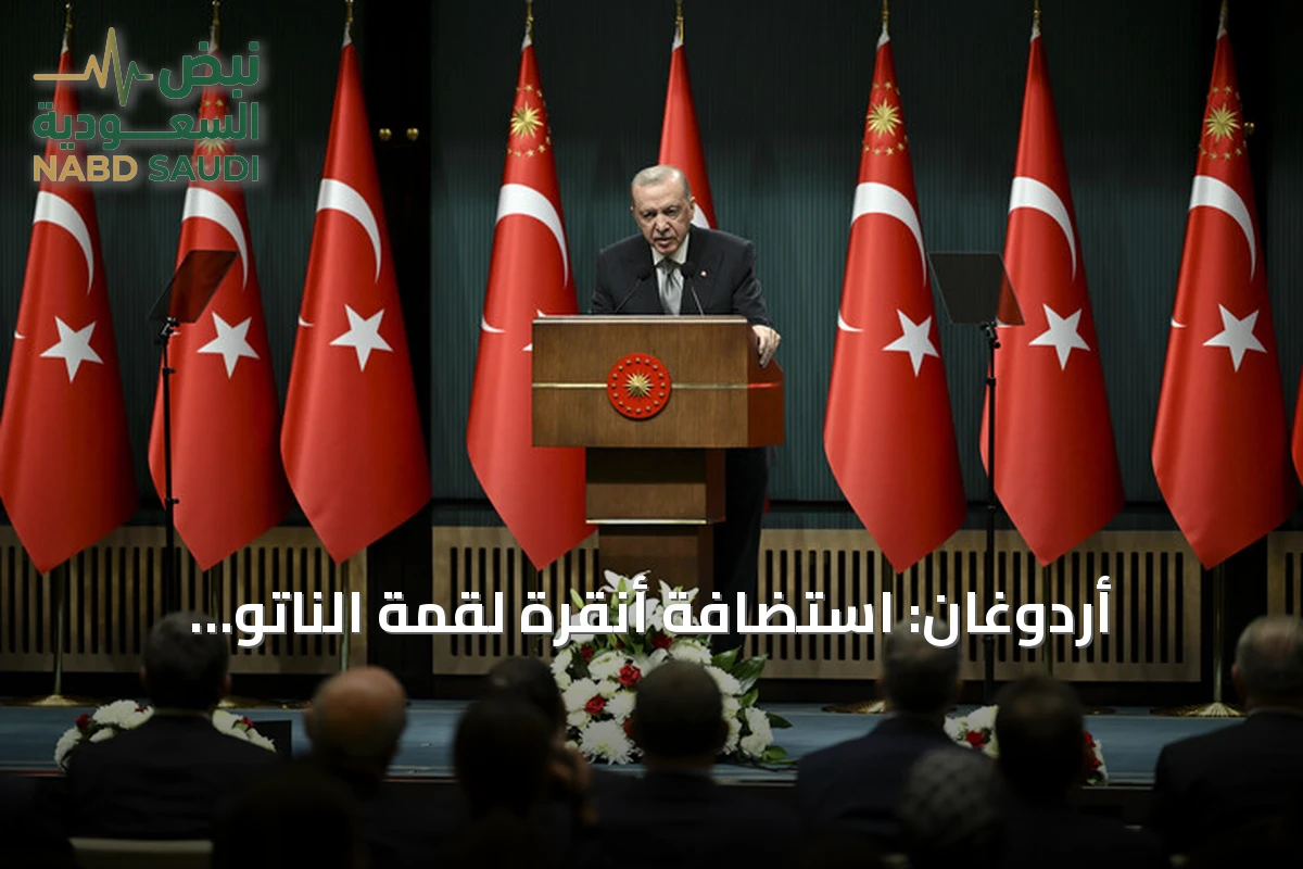 أردوغان: استضافة أنقرة لقمة الناتو التاريخية تعزز مكانة تركيا على الساحة الدولية