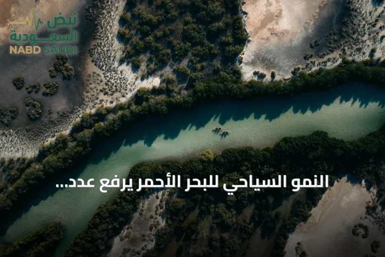 النمو السياحي للبحر الأحمر يرفع عدد الرحلات الجوية بين الرياض وجدة