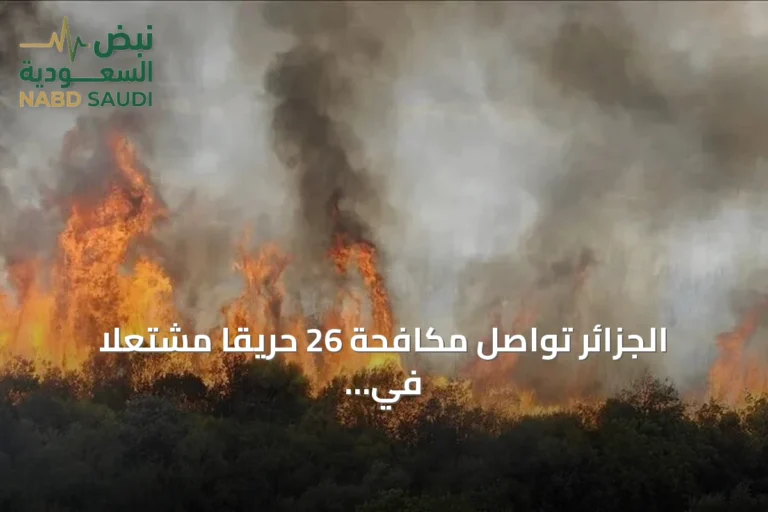 الجزائر تواصل مكافحة 26 حريقاً مشتعلاً في 15 ولاية وسط 69 بؤرة مسجلة
