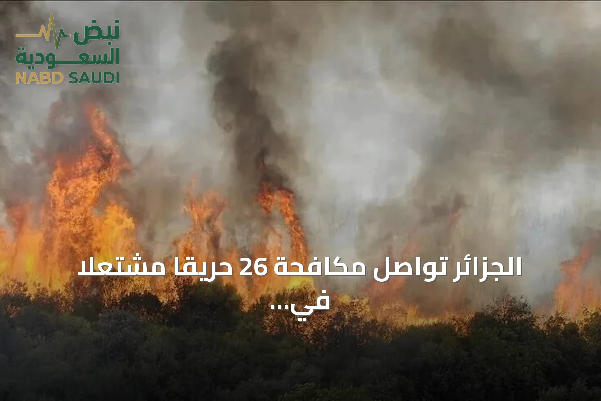 الجزائر تواصل مكافحة 26 حريقاً مشتعلاً في 15 ولاية وسط 69 بؤرة مسجلة