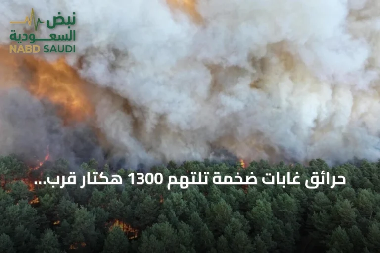 حرائق غابات ضخمة تلتهم 1300 هكتار قرب باريس وتوقف مشتبهين