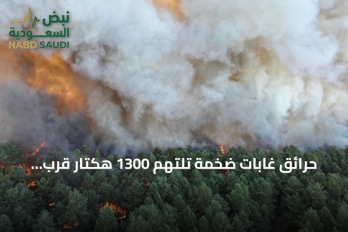 حرائق غابات ضخمة تلتهم 1300 هكتار قرب باريس وتوقف مشتبهين