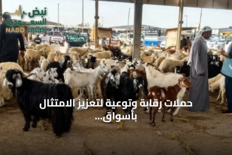 حملات رقابة وتوعية لتعزيز الامتثال بأسواق الماشية بالمدينة المنورة