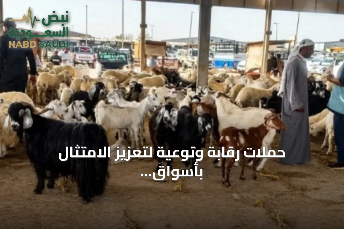 حملات رقابة وتوعية لتعزيز الامتثال بأسواق الماشية بالمدينة المنورة