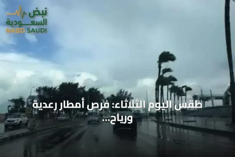 طقس اليوم الثلاثاء: فرص أمطار رعدية ورياح نشطة في عدة مناطق سعودية
