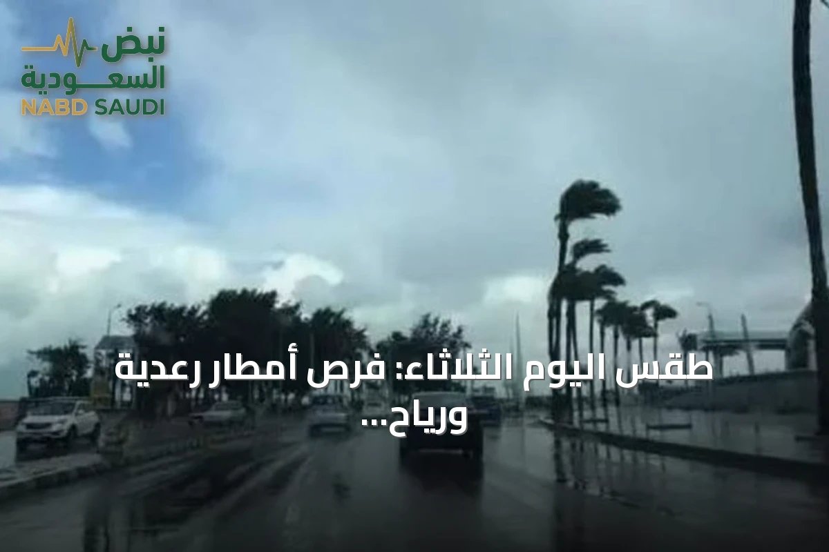طقس اليوم الثلاثاء: فرص أمطار رعدية ورياح نشطة في عدة مناطق سعودية