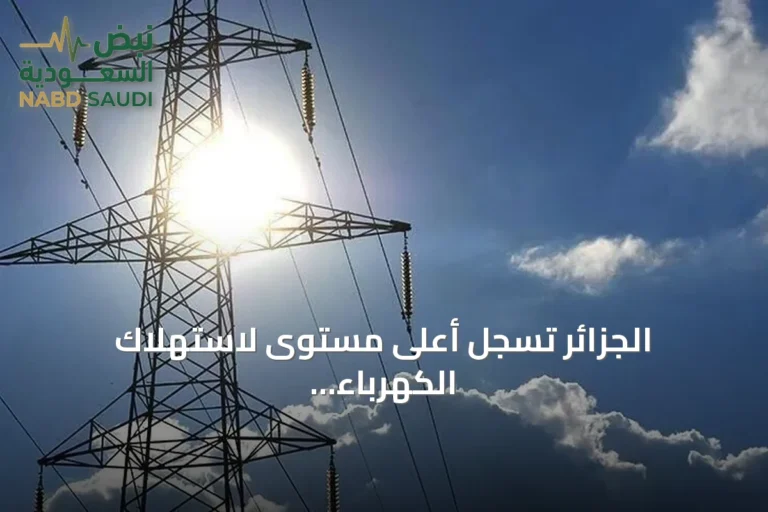 الجزائر تسجل أعلى مستوى لاستهلاك الكهرباء على الإطلاق أثناء موجة حر شديدة