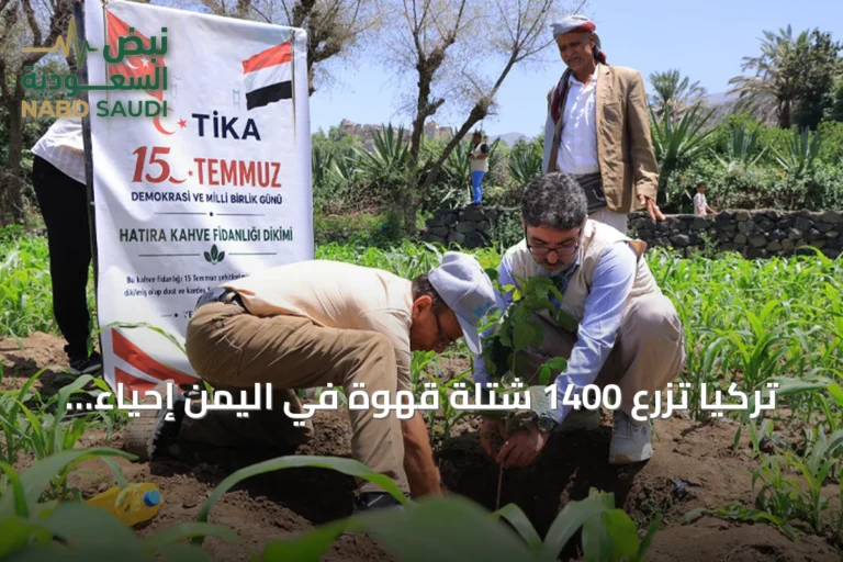 تركيا تزرع 1400 شتلة قهوة في اليمن إحياءً لذكرى ضحايا الانقلاب الفاشل