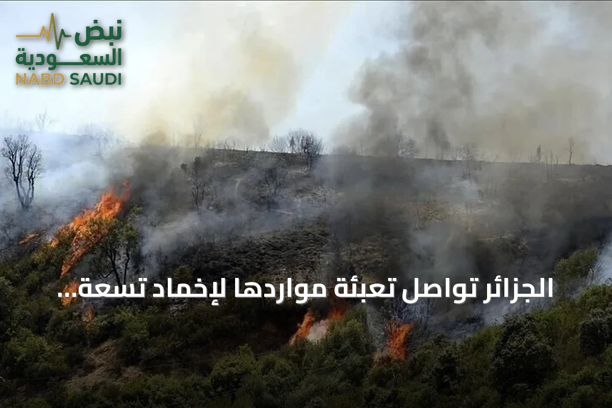 الجزائر تواصل تعبئة مواردها لإخماد تسعة حرائق في سبع ولايات