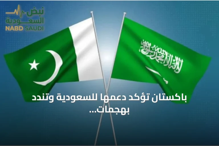 باكستان تؤكد دعمها للسعودية وتندد بهجمات الحوثي أمام مجلس الأمن