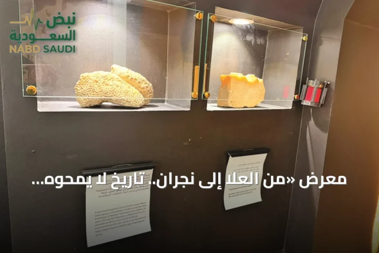 معرض «من العلا إلى نجران.. تاريخ لا يمحوه الزمان» يفتتح في مكتبة الملك فهد الوطنية