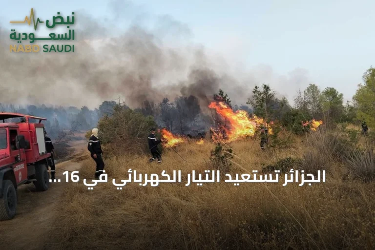 الجزائر تستعيد التيار الكهربائي في 16 ولاية وتواصل إخماد 19 حريقاً بالتزامن مع موجة حر قياسية