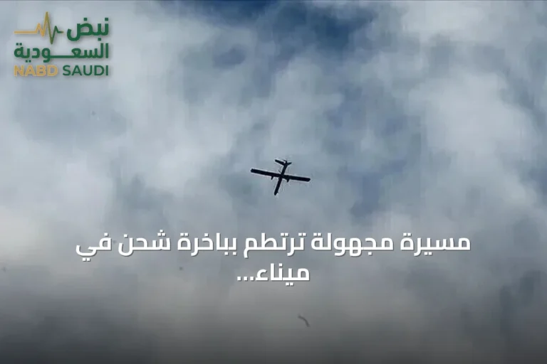 مسيرة مجهولة ترتطم بباخرة شحن في ميناء البصرة دون إصابات