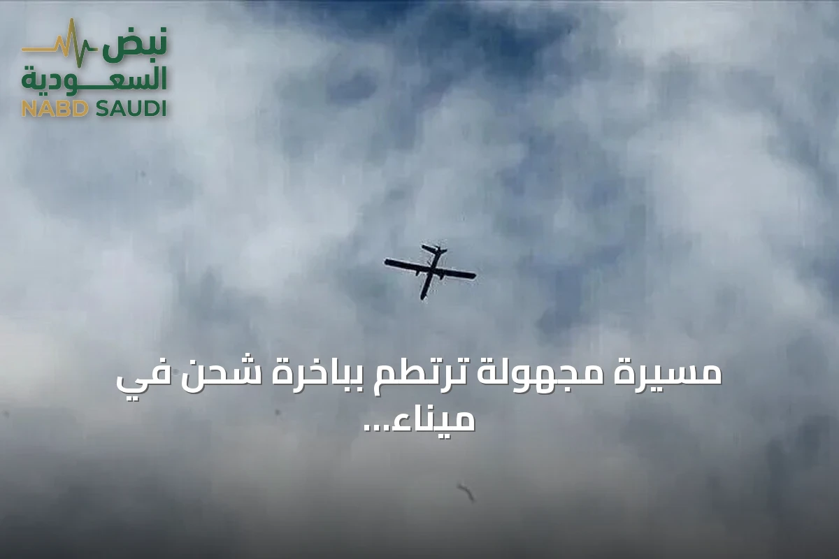 مسيرة مجهولة ترتطم بباخرة شحن في ميناء البصرة دون إصابات