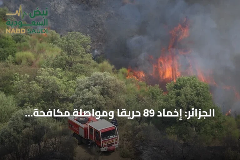 الجزائر: إخماد 89 حريقًا ومواصلة مكافحة 14 أخرى في 12 ولاية مع حرارة تصل إلى 48 درجة