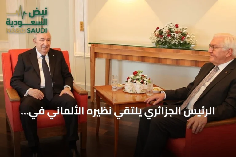 الرئيس الجزائري يلتقي نظيره الألماني في برلين خلال زيارة رسمية