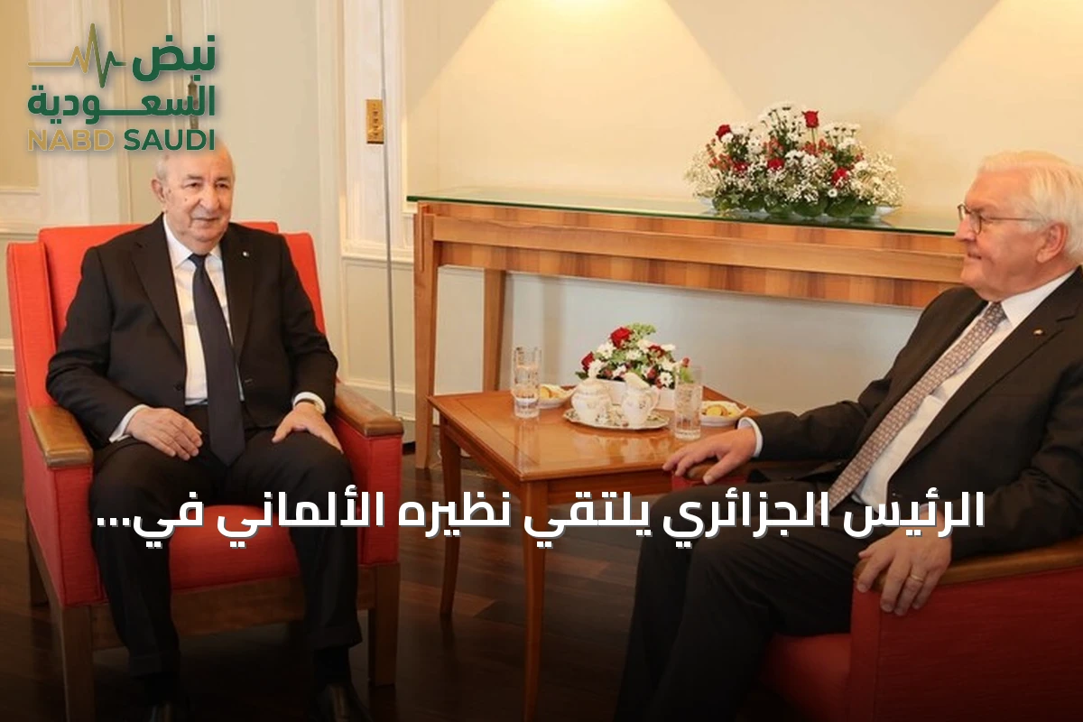 الرئيس الجزائري يلتقي نظيره الألماني في برلين خلال زيارة رسمية