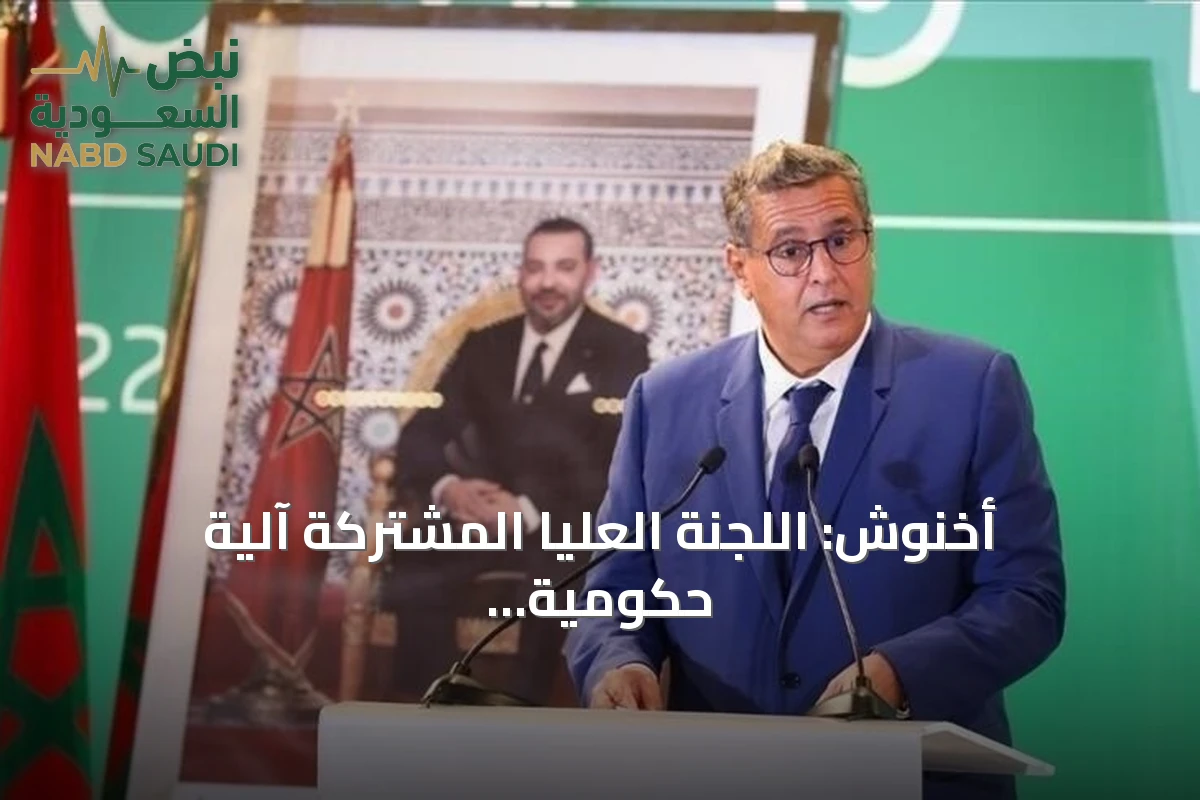 أخنوش: اللجنة العليا المشتركة آلية حكومية لتنفيذ الشراكة الاستثنائية مع فرنسا