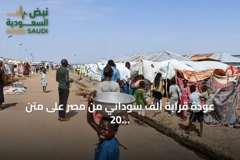 عودة قرابة ألف سوداني من مصر على متن 20 حافلة في إطار مبادرة طوعية