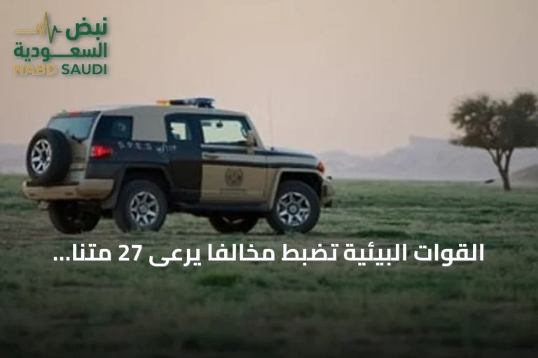 القوات البيئية تضبط مخالفًا يرعى 27 متنًا من الإبل داخل محمية الإمام تركي