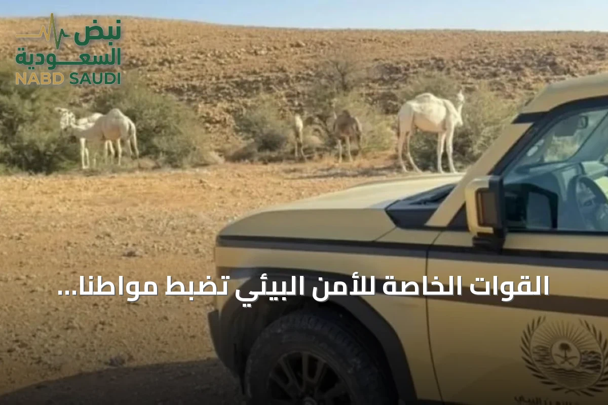 القوات الخاصة للأمن البيئي تضبط مواطناً بحوزته حطب محلي بالمدينة المنورة
