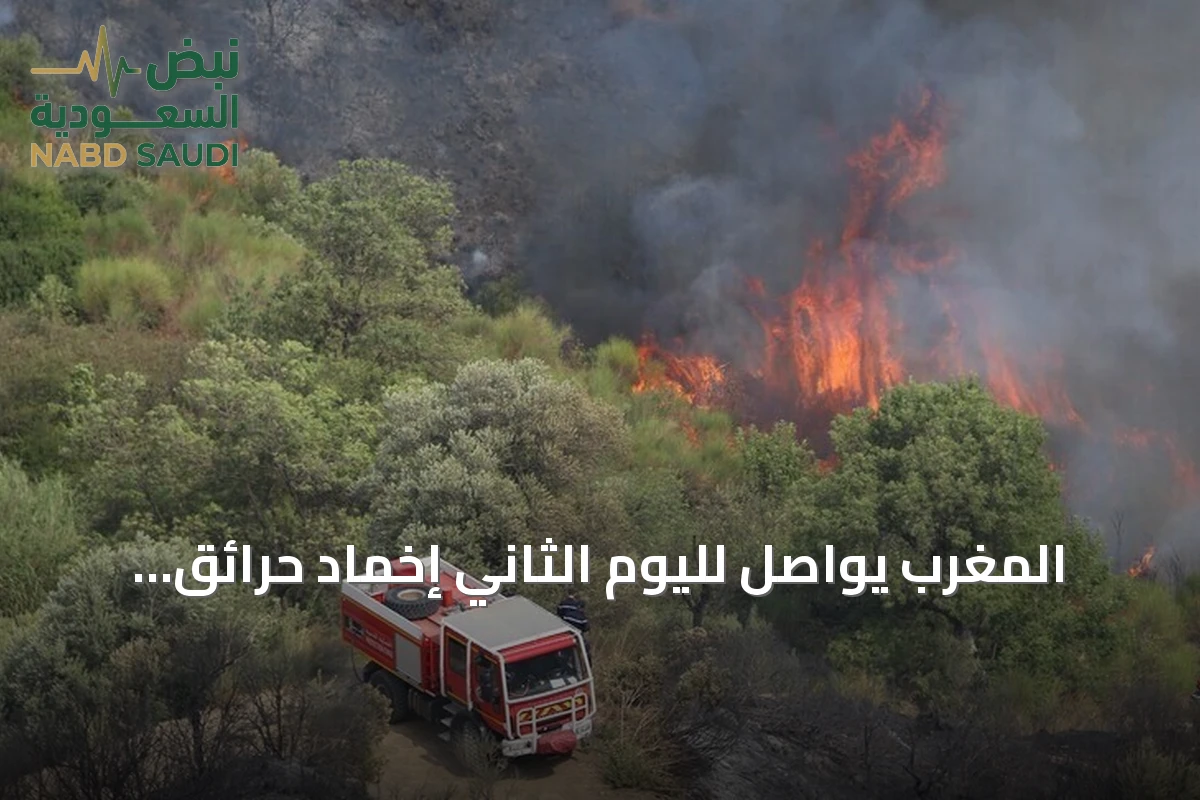 المغرب يواصل لليوم الثاني إخماد حرائق غابات التهمت 14 هكتاراً في الحوز