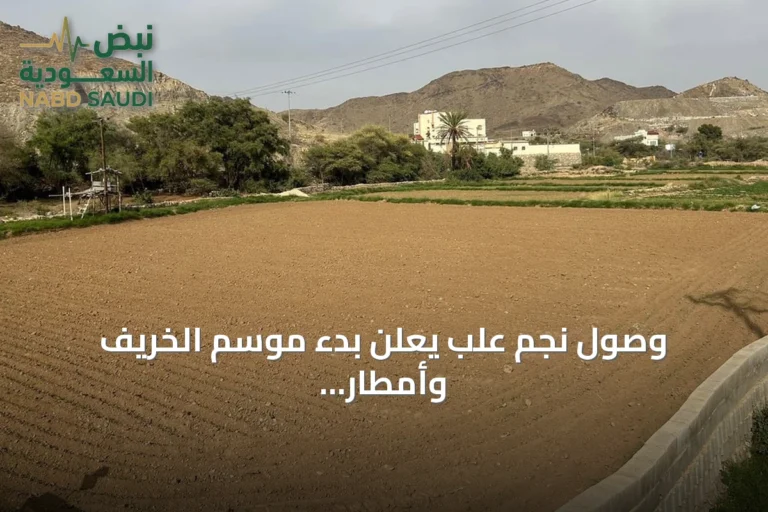 وصول نجم علب يعلن بدء موسم الخريف وأمطار الصيف في منطقة عسير