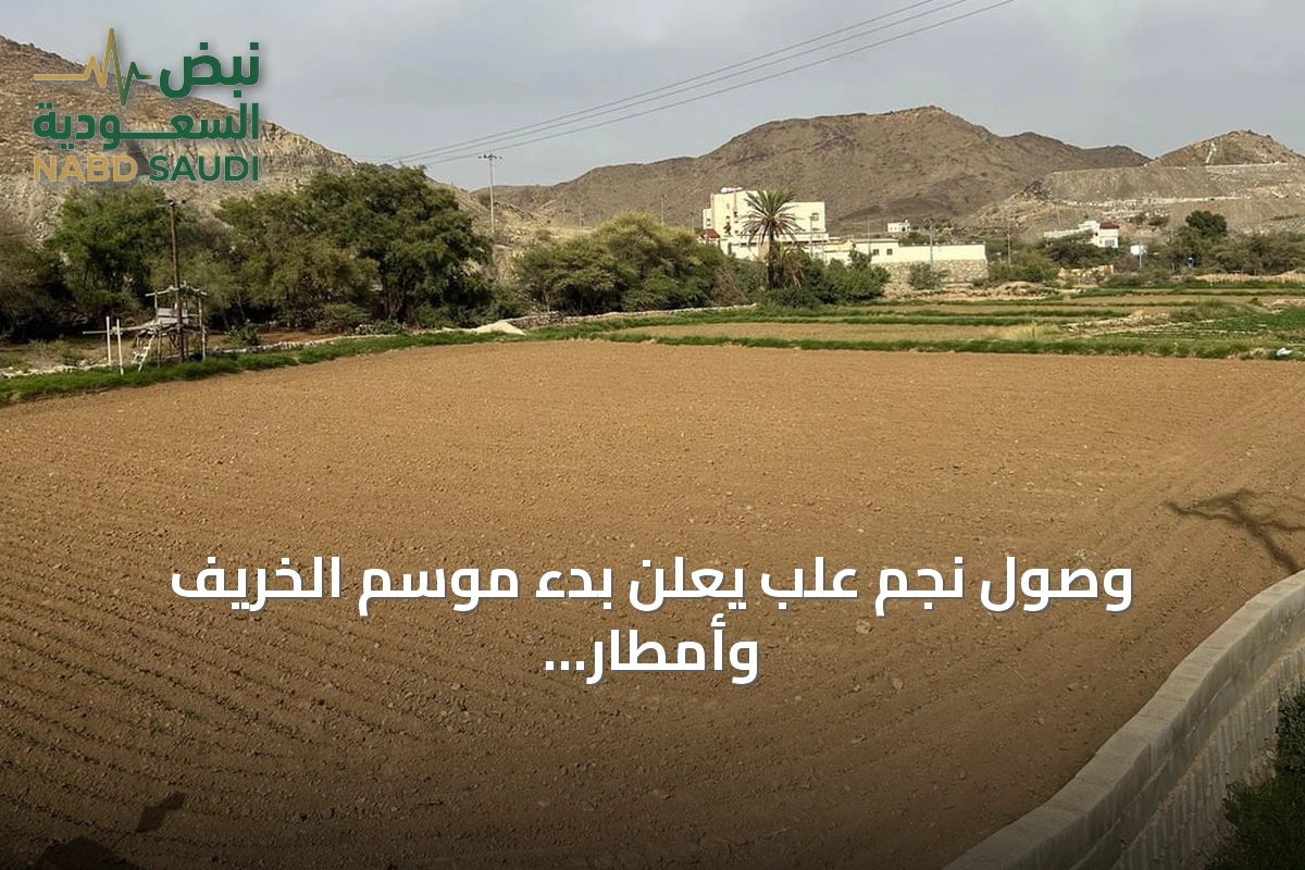 وصول نجم علب يعلن بدء موسم الخريف وأمطار الصيف في منطقة عسير