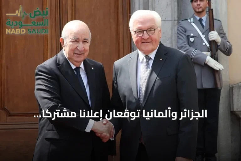 الجزائر وألمانيا توقعان إعلاناً مشتركاً لتوسيع الشراكة الاستراتيجية