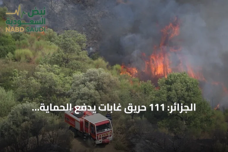 الجزائر: 111 حريق غابات يدفع الحماية المدنية إلى استدعاء عاجل لأعوانها في 45 ولاية