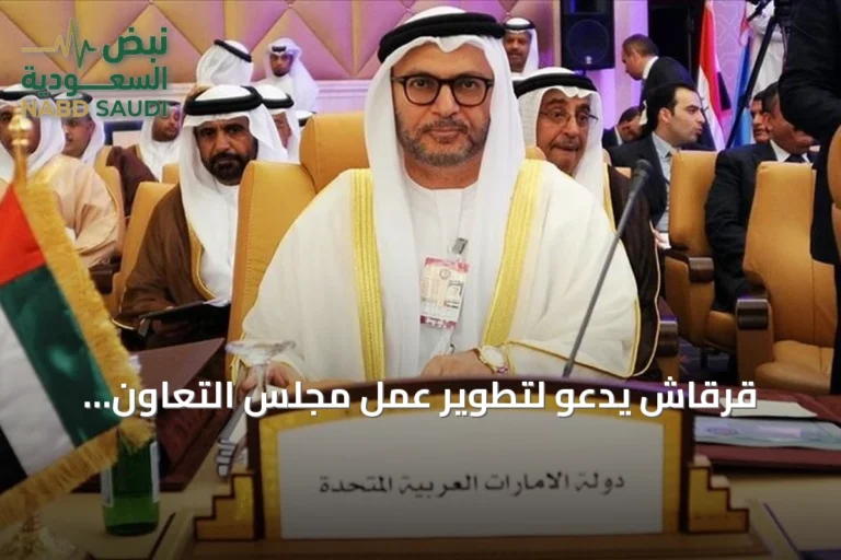 قرقاش يدعو لتطوير عمل مجلس التعاون الخليجي لتعزيز الأمن المشترك