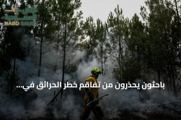 باحثون يحذرون من تفاقم خطر الحرائق في فرنسا وإسبانيا بسبب التغير المناخي