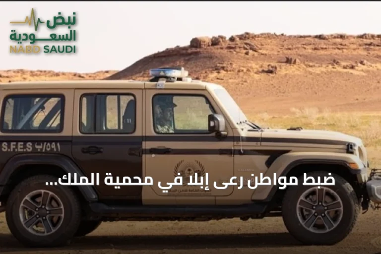ضبط مواطن رعى إبلاً في محمية الملك عبدالعزيز وفرضت غرامة