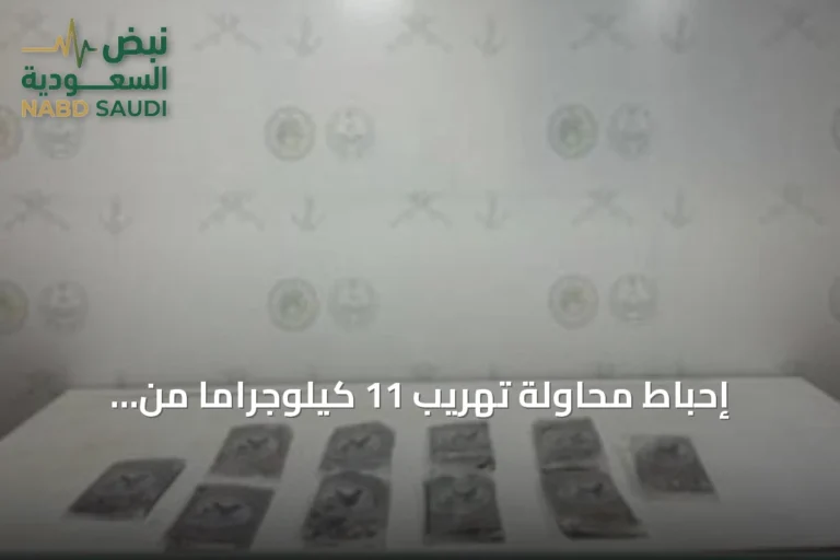 إحباط محاولة تهريب 11 كيلوجراماً من الحشيش في قطاع الربوعة بمنطقة عسير