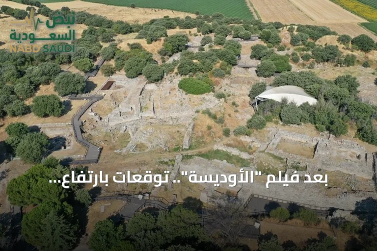 بعد فيلم "الأوديسة".. توقعات بارتفاع السياحة إلى مدينة طروادة الأثرية