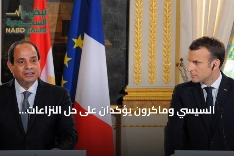 السيسي وماكرون يؤكدان على حل النزاعات بالشرق الأوسط سلمياً ويدعمان فرنسا بعد الحرائق