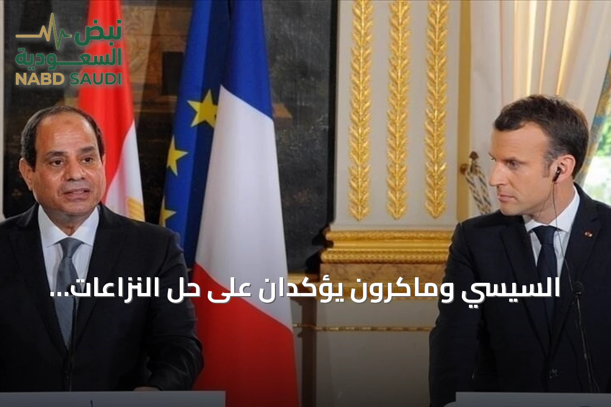 السيسي وماكرون يؤكدان على حل النزاعات بالشرق الأوسط سلمياً ويدعمان فرنسا بعد الحرائق