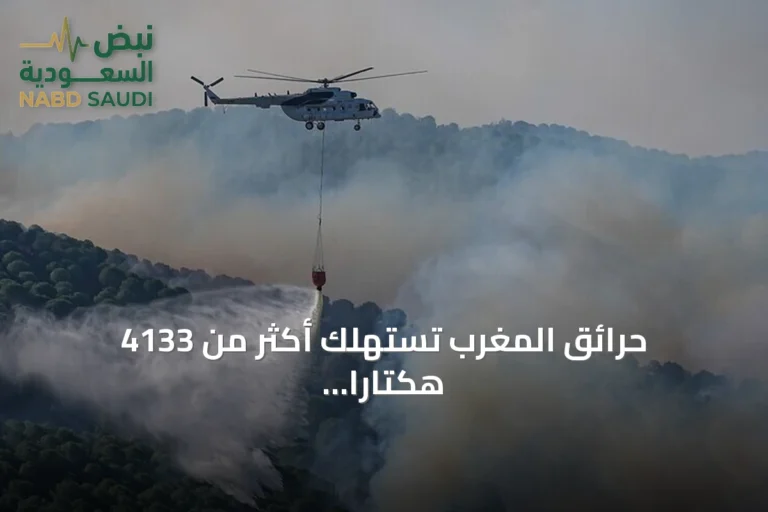 حرائق المغرب تستهلك أكثر من 4133 هكتارًا منذ بداية 2026