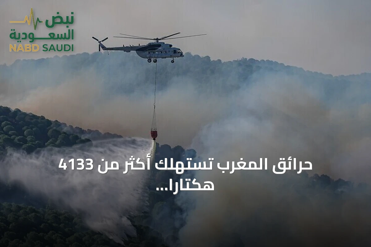 حرائق المغرب تستهلك أكثر من 4133 هكتارًا منذ بداية 2026