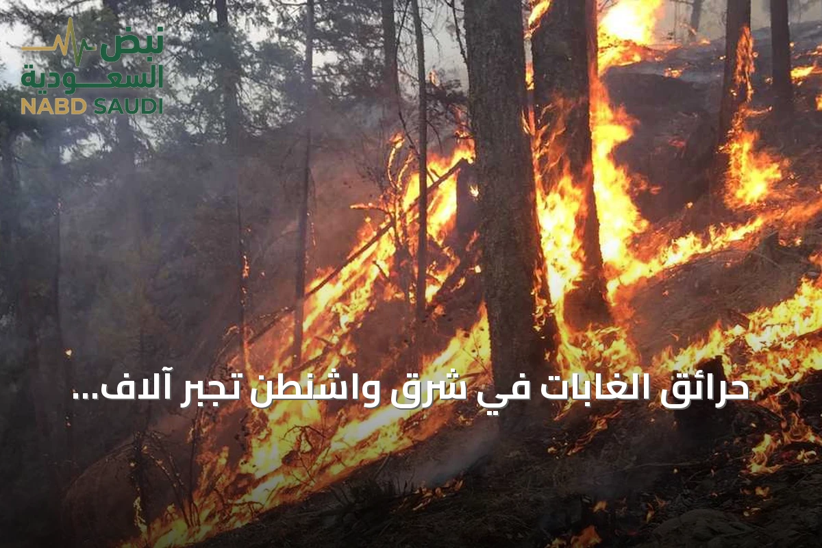 حرائق الغابات في شرق واشنطن تجبر آلاف السكان على الإخلاء وتدمر مئات المباني